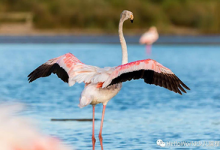 学编程不仅能学真功夫，还能助力升学！-[宝程录]幼儿编程入门