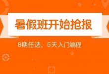 核桃编程营: 暑假编程班开报，8期任选，5天入门编程-[宝程录]幼儿编程入门