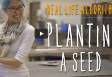 [免费幼儿编程入门启蒙课程]课程 6: 实际生活中的算法： 播种一颗种子-[宝程录]幼儿编程入门