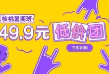 核桃编程: 49.9元暑期班团购秒杀价！-[宝程录]幼儿编程入门