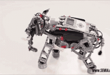 【火爆】开学好物推荐！为什么明星孩子都在玩乐高®？-[宝程录]幼儿编程入门