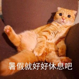 【火爆】开学季！来网易学编程就送实体书！