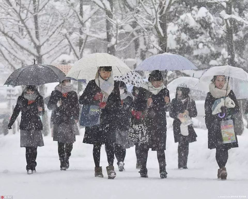 饼干也能编程?脑洞大开的日本教育给了我们这些启示 饼干也能编程?脑洞大开的日本教育给了我们这些启示