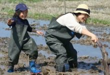 孩子畏难?五线城市“技术盲”妈妈出奇招-幼儿编程入门