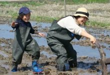 五线城市“技术盲”妈妈，我如何养出编程牛娃？-[宝程录]幼儿编程入门