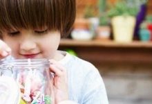 编程是父母能送孩子的“最好礼物”-[宝程录]幼儿编程入门